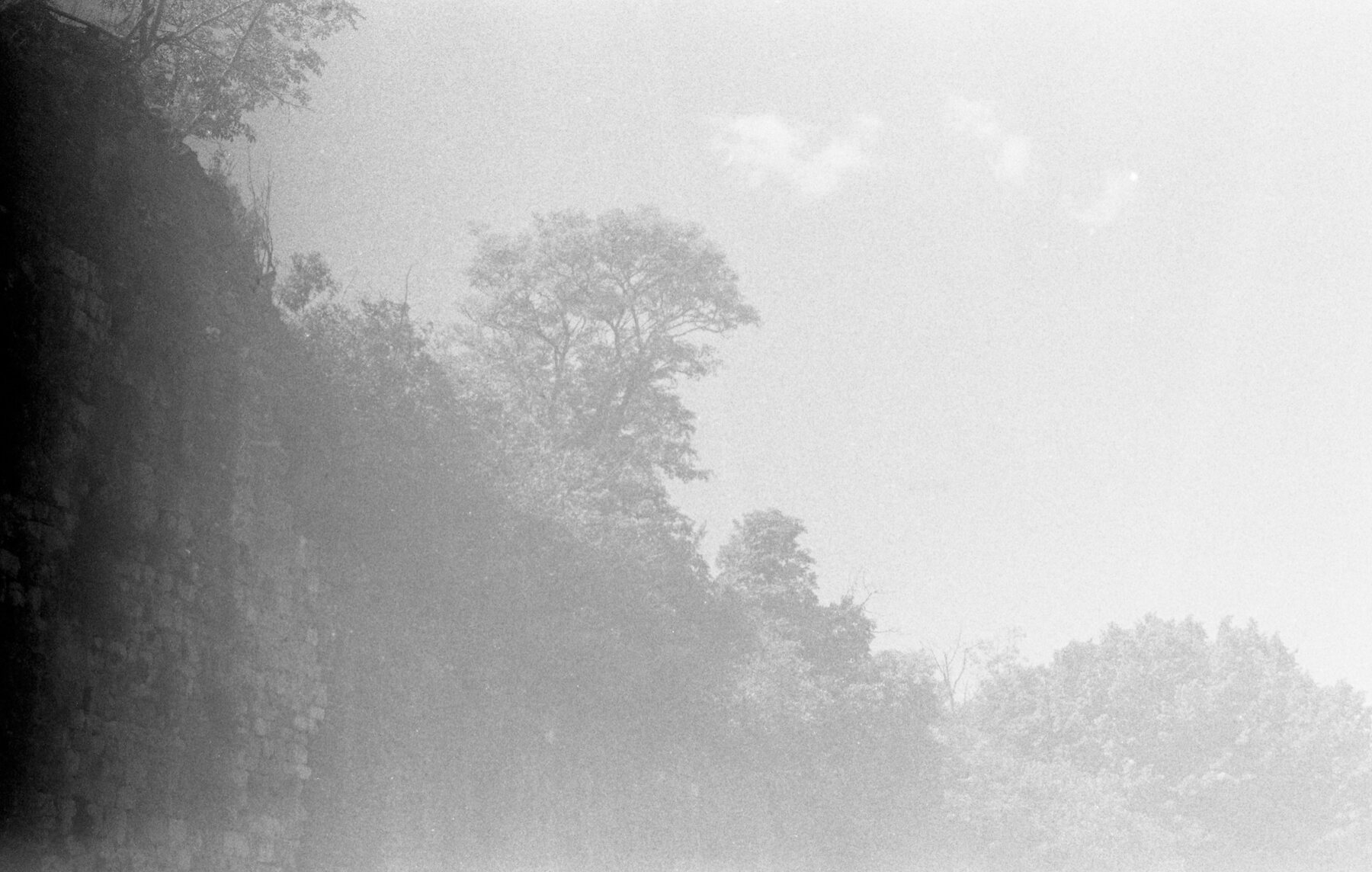 Fotografia in bianco e nero: un muro di pietra sulla sinistra e alberi che si perdono nella nebbia.